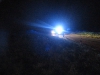 Fahrzeug der Polizei