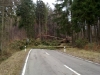Bäume über Fahrbahn, L382 Otterberg - Höringen, Bild: Hendrik Braun