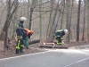 Baum über Fahrbahn, Kreisstraße zum Drehenthalerhof