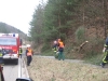 Baum über Fahrbahn, Otterberg Höhe Campingplatz