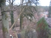 Otterberg Althütterhof, Baum drohte auf Haus zu stürzen