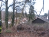 Otterberg Althütterhof, Baum drohte auf Haus zu stürzen