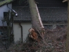 Otterberg Althütterhof, Baum drohte auf Haus zu stürzen