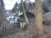 Otterberg Althütterhof, Baum drohte auf Haus zu stürzen