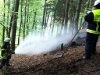 26. April 2011 – Waldbrand, Otterberg Grafenthalerhof