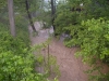 19. Mai 2012 - Beseitigung Unwetter-Folgen, Bereich Niederkirchen; angeschwollener Odenbach im Bereich Schorndelle