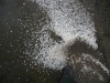 19. Mai 2012 - Beseitigung Unwetter-Folgen, Bereich Niederkirchen; Hagelreste