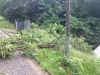 27. Juni 2013 – Baum über Fahrbahn, Otterberg Schloßberg