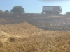 17. August 2013 - Flächenbrand, Mehlbach; TLF 16/24 der Feuerwehr Olsbrücken