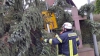 10. Januar 2015 - Beseitigung Sturmfolgen, Schallodenbach Hauptstraße