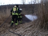 21. März 2015 - Flächenbrand, Hirschhorn