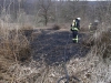 21. März 2015 - Flächenbrand, Hirschhorn