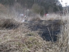 21. März 2015 - Flächenbrand, Hirschhorn