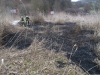 21. März 2015 - Flächenbrand, Hirschhorn