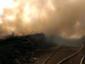 10. Mai 2015 - Brand Grünabfall, Mehlbach Grünabfallsammelstelle