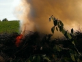 10. Mai 2015 - Brand Grünabfall, Mehlbach Grünabfallsammelstelle