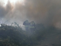 10. Mai 2015 - Brand Grünabfall, Mehlbach Grünabfallsammelstelle
