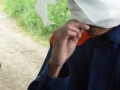 Wanderrallye, Gummibären erkennen
