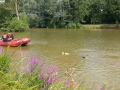 28. Juli 2015 - Personensuche, Katzweiler; Suche auf und im Landschaftsweiher