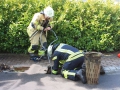 26. März 2016 - Ausgelaufenes Hydrauliköl, Otterbach Auf den Steinen