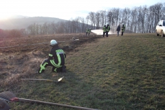 25. Februar 2017 – Flächenbrand, Hirschhorn Verlängerung Flurstraße