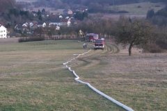 25. Februar 2017 – Flächenbrand, Hirschhorn Verlängerung Flurstraße