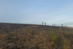 25. Februar 2017 – Flächenbrand, Hirschhorn Verlängerung Flurstraße