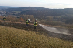 25. Februar 2017 – Flächenbrand, Hirschhorn Verlängerung Flurstraße