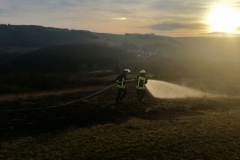 25. Februar 2017 – Flächenbrand, Hirschhorn Verlängerung Flurstraße