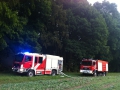 28. August 2016 - Brand Waldhütte, Otterberg Messerschwanderhof