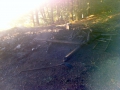 28. August 2016 - Brand Waldhütte, Otterberg Messerschwanderhof