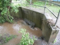 Gitter vor Kanaleinlauf des Otterbachs im Bereich der Grundschule Otterberg.