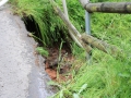 Weiher zwischen Otterberg und Schneckenhausen.