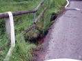 Weiher zwischen Otterberg und Schneckenhausen.