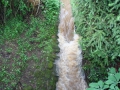 Weiher zwischen Otterberg und Schneckenhausen.