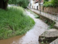 Weiher zwischen Otterberg und Schneckenhausen.