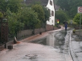 4. Juni 2016 - Beseitigung Unwetterfolgen, Hirschhorn