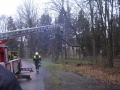 7. Februar 2016 - Absturzgefährdeter Baum, K40 Otterbach - Kaiserslautern-Morlautern