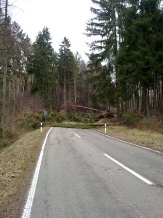 Bäume über Fahrbahn, L382 Otterberg – Höringen; Bild: Feuerwehr Otterberg / Hendrik Braun Bäume über Fahrbahn, L382 Otterberg – Höringen; Bild: Feuerwehr Otterberg / Hendrik Braun