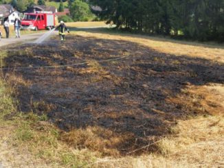 6. September 2016 – Flächenbrand, Mehlbach Weiherstraße