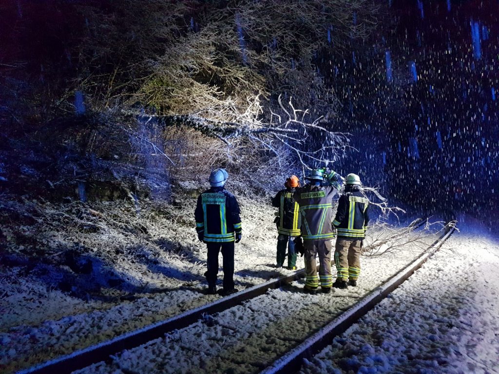 20. Januar 2018 - Baum im Gleisbereich, Olsbrücken Am Bahnhof