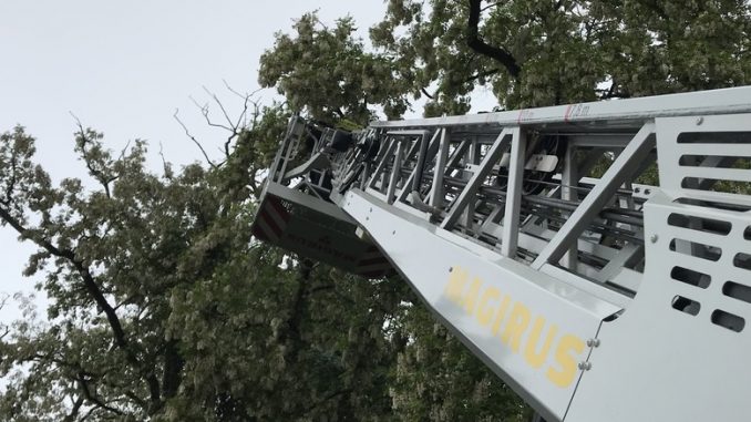 24. Mai 2018 - Beseitigung Unwetterfolgen, Verbandsgemeindegebiet