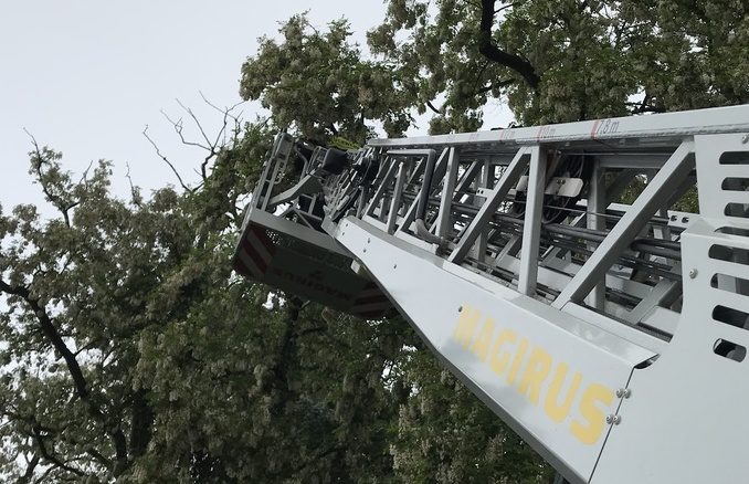 24. Mai 2018 - Beseitigung Unwetterfolgen, Verbandsgemeindegebiet