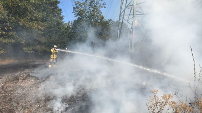 19. August 2018 - Waldbrand, L382 Otterberg – Mehlingen-Baalborn