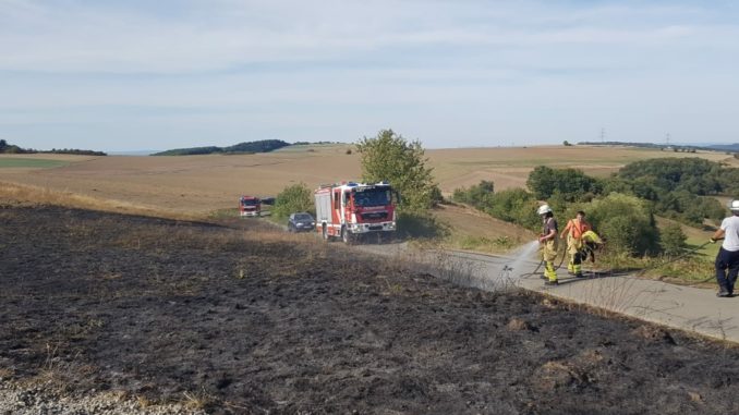 17. September 2018 - Flächenbrand, Niederkirchen nähe Landschaftsweiher