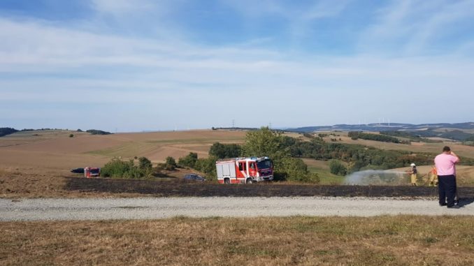 17. September 2018 - Flächenbrand, Niederkirchen nähe Landschaftsweiher