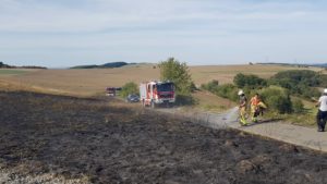 17. September 2018 - Flächenbrand, Niederkirchen nähe Landschaftsweiher