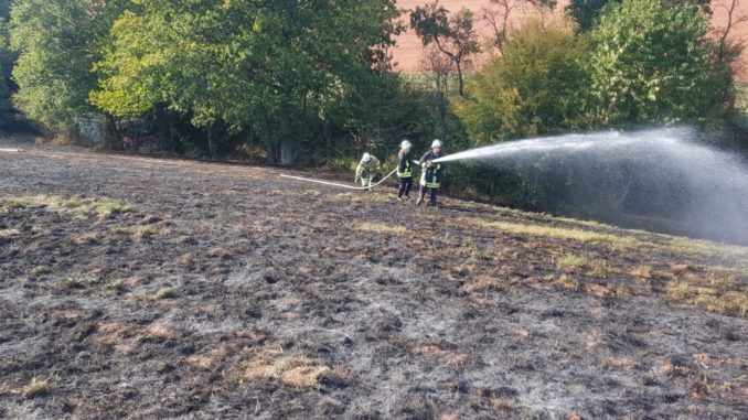 18. September 2018 - Flächenbrand, Katzweiler Verlängerung Hartwiesen