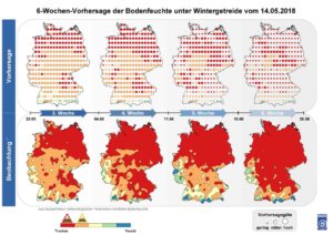 Die Abbildung stellt oben die vorhergesagte und in der unteren Reihe die tatsächliche Bodenfeuchte dar. Rot zeigt an, dass der Boden sehr trocken ist und die Bodenfeuchte einen für die Pflanzen kritischen Wert unterschreitet. Auch in den ockerfarbenen Bereichen ist mit Trockenstress zu rechnen. Je größer die Kreise oben sind, desto besser stimmt die Vorhersage mit den tatsächlichen Werten des Bodenfeuchte in der unteren Reihe überein. Quelle: DWD