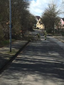 10. März 2019 - Otterberg, Ringstraße